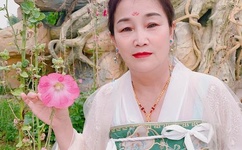 男ji大巴进入女人视频ai明星